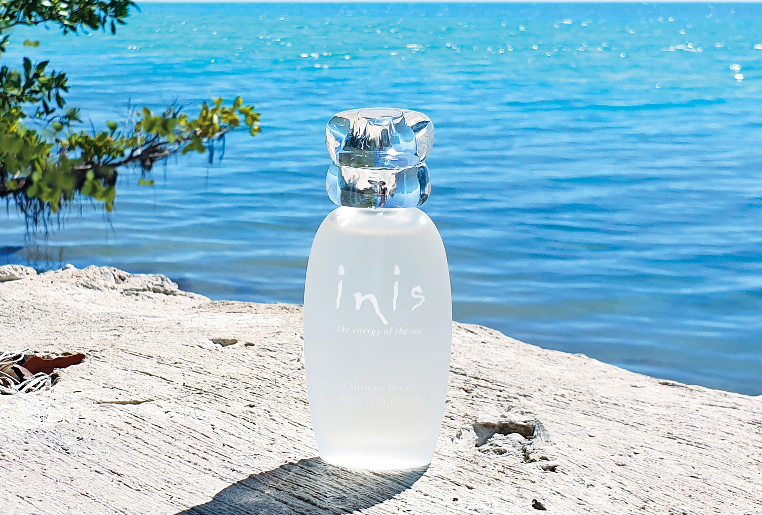 Inis Cologne