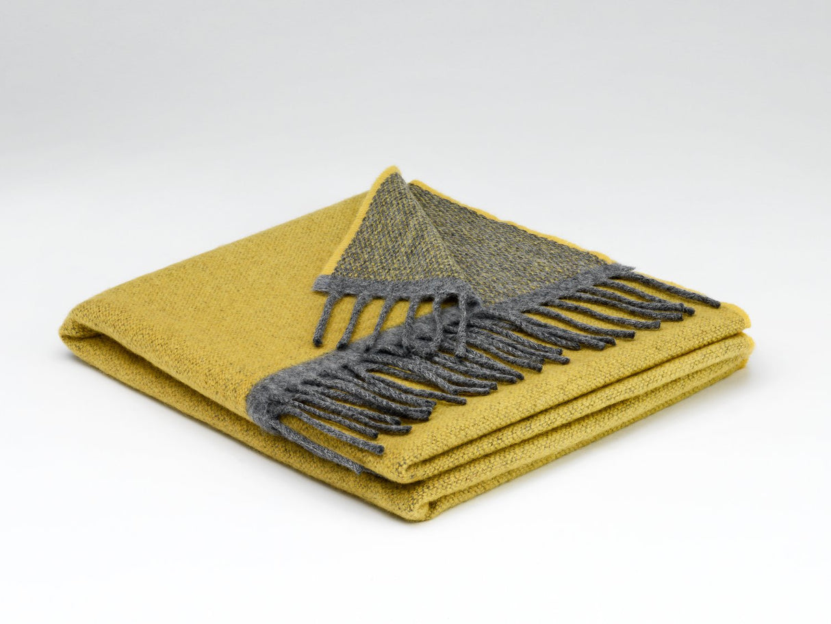 Women's Lambswool and Cashmere Wrap