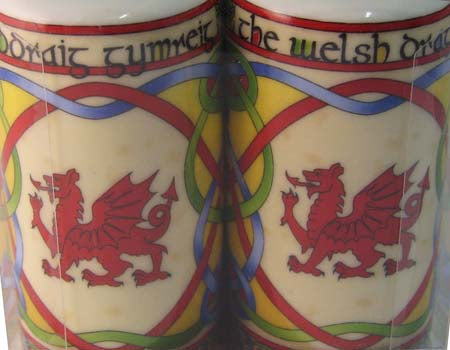 Welsh Dragon Salt & Pepper Set