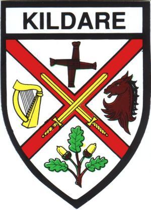 Irish County Car Sticker - Kildare