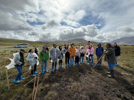In Our Guests' Words: Twelve Days Across the North of Ireland