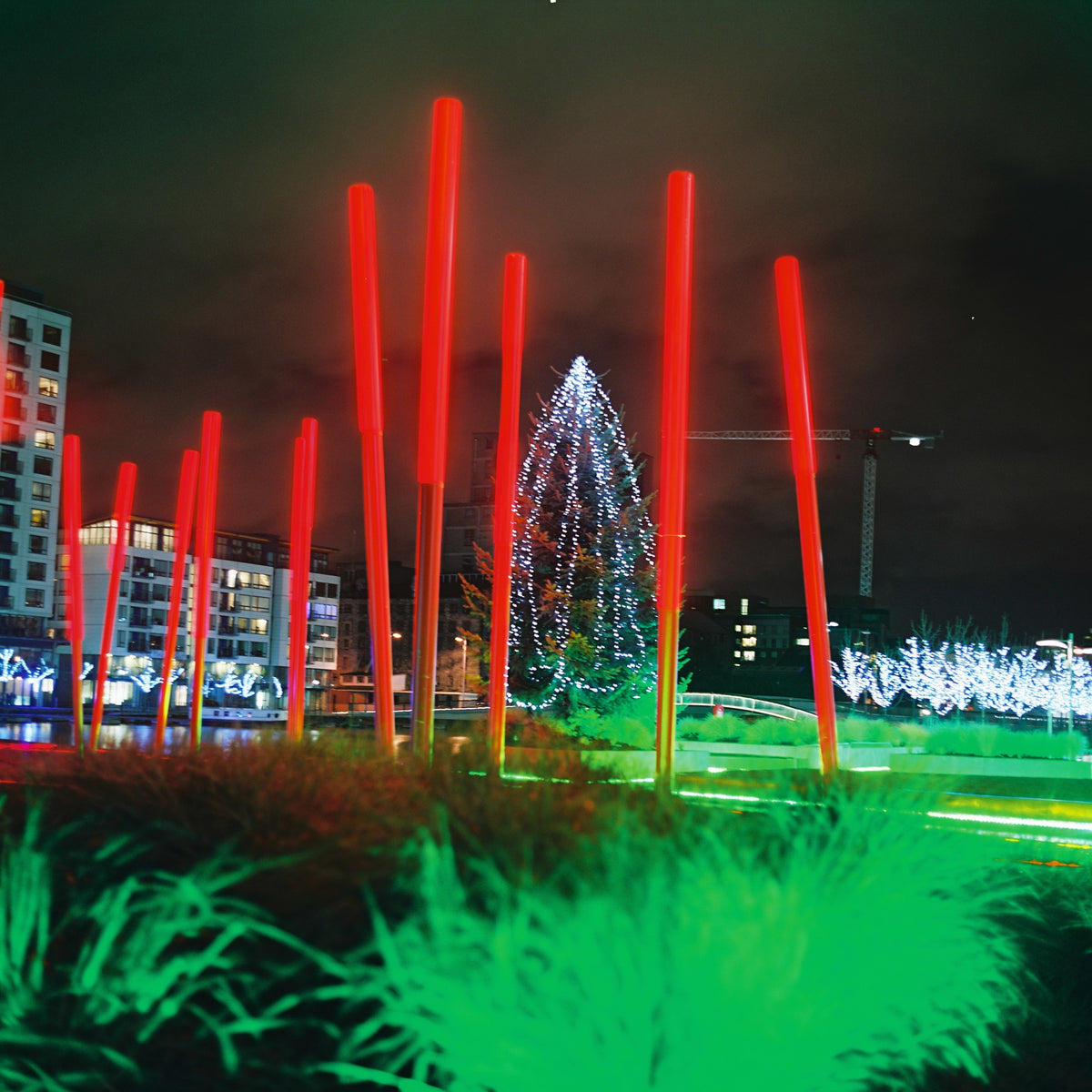 Christmas tree and illuminated red columns in Dublin’s South Docklands at night