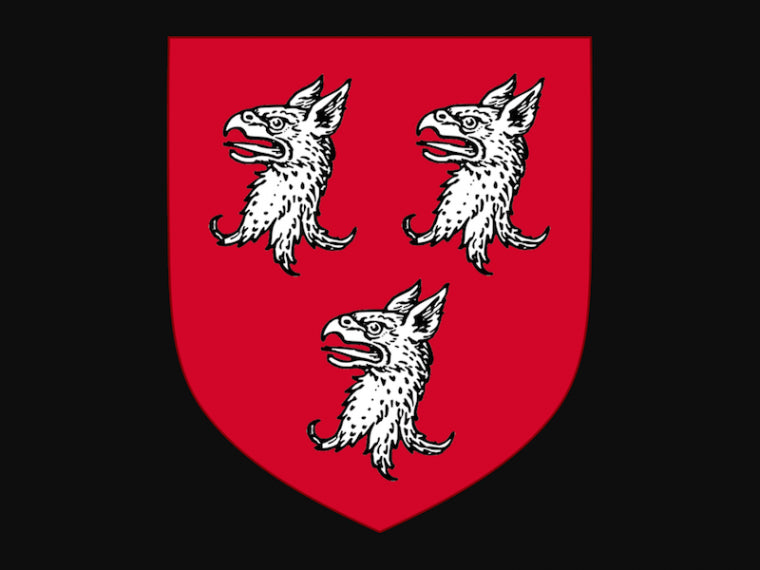 A Closer Look at The History and Meaning of the Ryan Name Real Irish