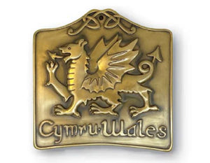 Welsh Dragon Bronze Wall Plaque