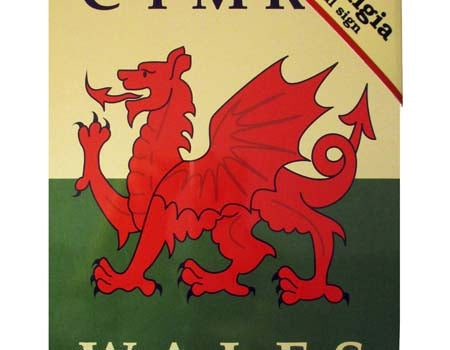 Welsh Dragon Flag Nostalgia Metal Flag