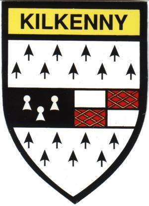 Kilkenny County Map And Flag Ireland