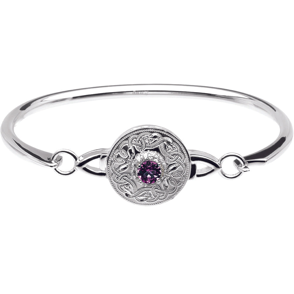 Celtic Warrior Style Wire Bangle with Amethyst and Clear CZ by Stones