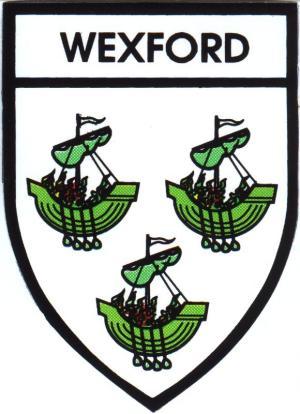 Irish County Car Sticker - Wexford